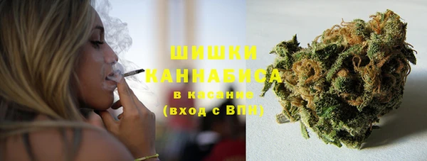 молекула духа Заводоуковск