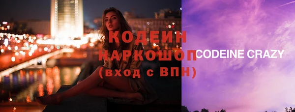 молекула духа Заводоуковск
