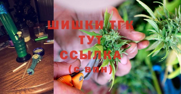 молекула духа Заводоуковск
