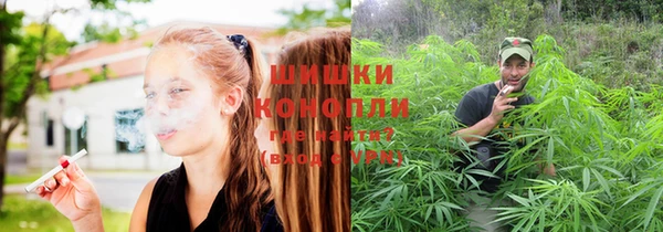молекула духа Заводоуковск