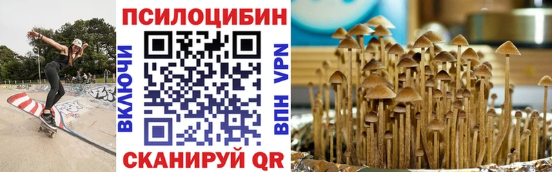 Купить где Сыктывкар Псилоцибиновые грибы Magic Shrooms