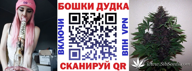 Шишки марихуана план  Купить где  Сыктывкар 